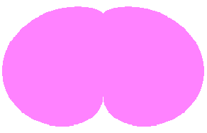 図18 n=1, b=0.8, c=0