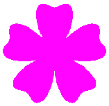 図74b n=5, d=1, e=1, p=1