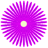 図88c n=38, b=0, c=4, d=3, e=1